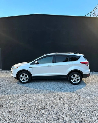 Ford Escape cena 38500 przebieg: 186000, rok produkcji 2015 z Zgorzelec małe 326